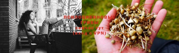 хмурый Володарск