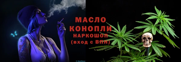 эйфоретик Вяземский